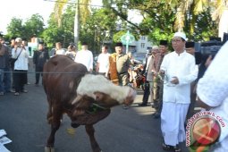 Gubernur  ajak tingkatkan semangat berkurban