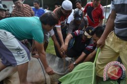 Masjid Darussalam Mukomuko bagikan 450 kupon kurban