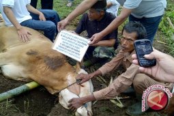 DPRD Wajibkan Pemenuhan Syarat RPH
