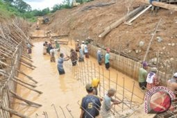 Ribuan hektare sawah irigasi terancam ditanami sawit