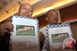 BI dan Kementan Bersama Luncurkan Asuransi Ternak Sapi