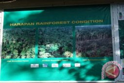 Reki: Hutan Harapan terbakar sebagian di area konflik