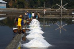 Harga Garam Rendah