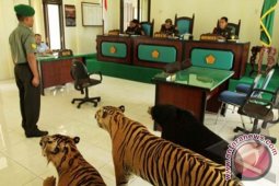 Vonis Kasus Obset Harimau