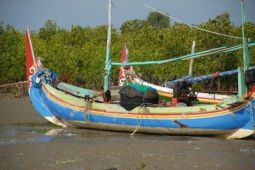 Libur Idul Adha