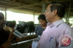 Mahfud MD : kebijakan pemerintah tidak pro peternak
