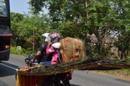 Membonceng Reog
