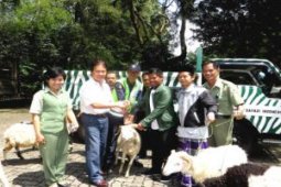 TSI Cisarua sumbang hewan kurban untuk warga Cibeureum