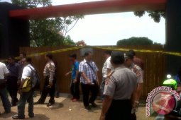 BKSDA batal evakuasi Harimau Sumatera dari vila