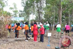 Tanbu Rehabilitasi Hutan Dan Lahan Kritis