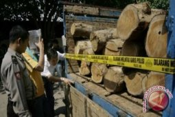 Polisi Bangka Barat Tangkap Pelaku Pembalakan Liar