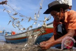 Legislator: Ribuan Nelayan Aceh Kehilangan Pekerjaan