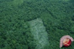 Presiden-Aliansi Masyarakat Adat Nusantara bahas hutan adat