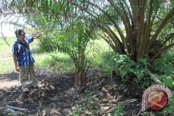 Petani Seluma desak pemprov selesaikan konflik agraria