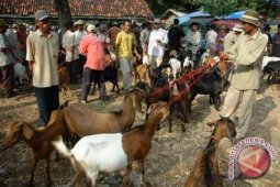 Profil - Tembang Doa Seorang Sri Kambing (1)