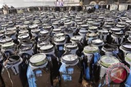 Harga Minyak Dunia Berbalik Turun di Perdagangan Asia