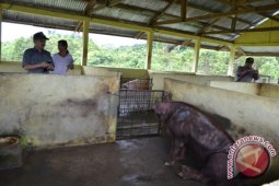 Komisi A DPRD Sekadau Kunker Hanya Diikuti 3 Orang