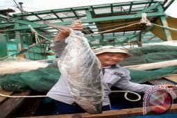 Pengawasan udara akan digiatkan demi cegah "illegal fishing"