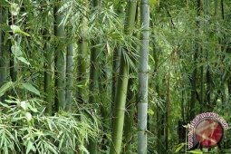 12 negara ikuti Festival Bambu Internasional