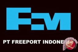 Pekerja Papua di Freeport minta dukungan DPRD