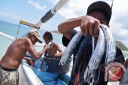 Produksi Ikan Segar Gorontalo Utara Diminati Arab
