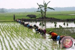 Spekulasi Lahan Terkena Banjir