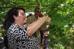 Menteri Pertanian Belanda Kagumi Sayuran Tropis Ewindo