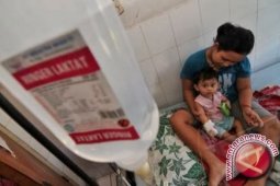 Penderita Demam Berdarah Di Banda Aceh Menurun