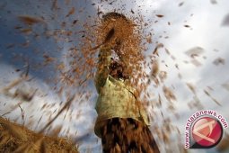 Petani organik disubsidi Rp1 juta/bulan