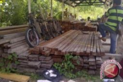 Disbunhut Landak Lelang Kayu Temuan