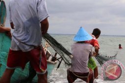 Harga Ikan Segar Melonjak Dratis Di Lhokseumawe