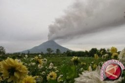 Tanggap Darurat Sinabung diperpanjang