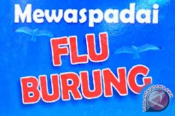 Kementan Kaji Vaksin Terbaik untuk Flu Burung