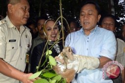 Pelaku Perdagangan Satwa Langka Harus Dihukum Seberat-beratnya