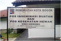 Hewan Kesayangan Pun Perlu Dirawat dan Dimanjakan