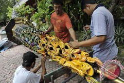 Pohon Natal Sepatu Bekas