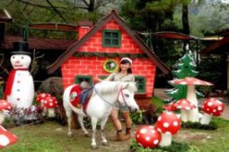 TSI hadirkan kuda poni sambut liburan Natal