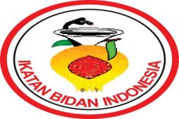 IBI akui penyebaran bidan belum merata
