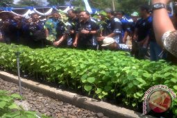 Menhut luncurkan bibit persemaian permanen IPB