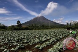 Aktivitas Warga Sinabung