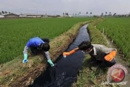 BLHD akan cek pencemaran limbah PTPN VI