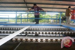 Sumber Air Baku PDAM Penajam Belum Normal