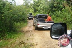 Pemkab Bireuen Bangun Jalan Tembus Areal Perkebunan
