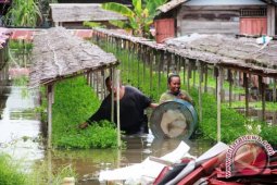 880 Rumah di Tenggarong Terendam Banjir