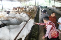 PDHI Siap Bantu Majukan Peternakan Aceh Besar