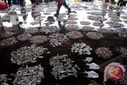 Kapal Ikan Gorontalo Utara Belum Diizinkan Melaut