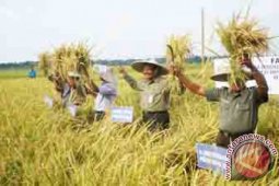 Pemerintah Aceh Diminta Tingkatkan Pembinaan Petani
