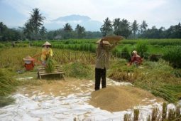 Petani Gunung Raung