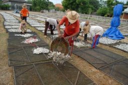 Harga Ikan Kering Turun