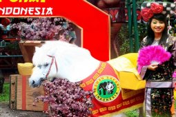 TSI tampilkan kuda bagi angpau sambut Imlek